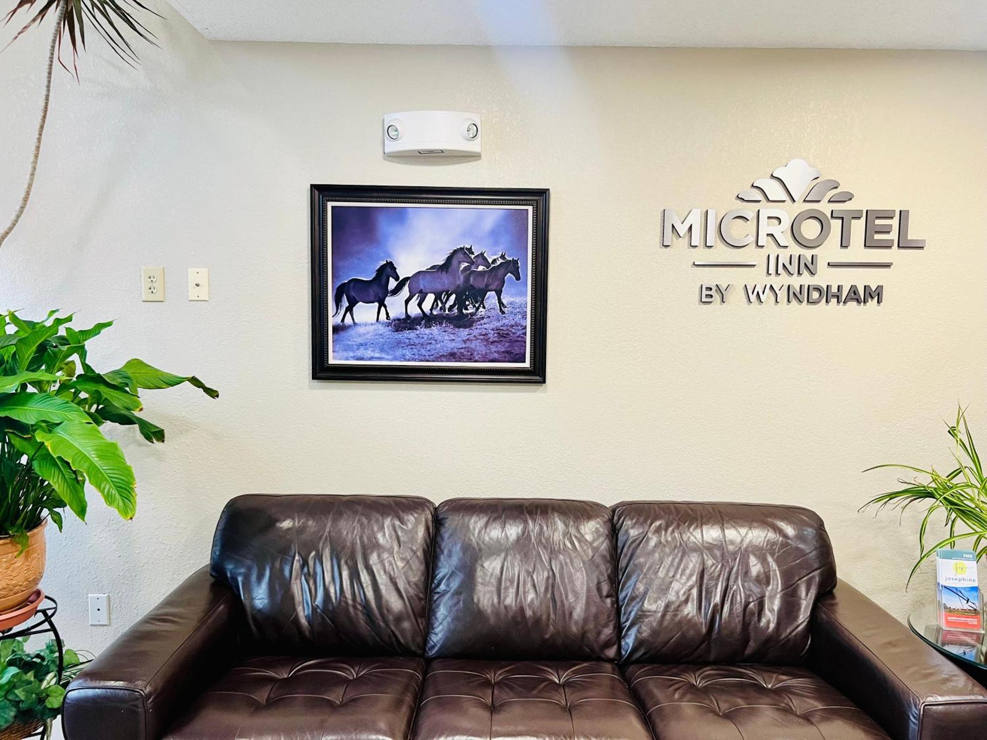 Microtel Inn Georgetown - Lexington North Buitenkant foto