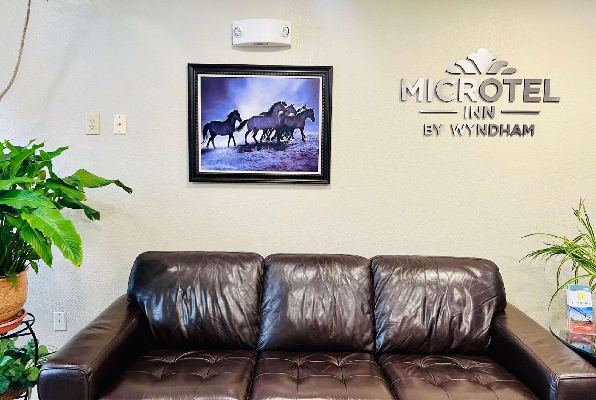 Microtel Inn Georgetown - Lexington North Buitenkant foto